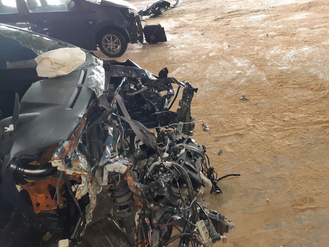 Perodua Hq Number - Elephants Are Bunnies